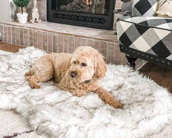 beige plush rest mat with a dog on it