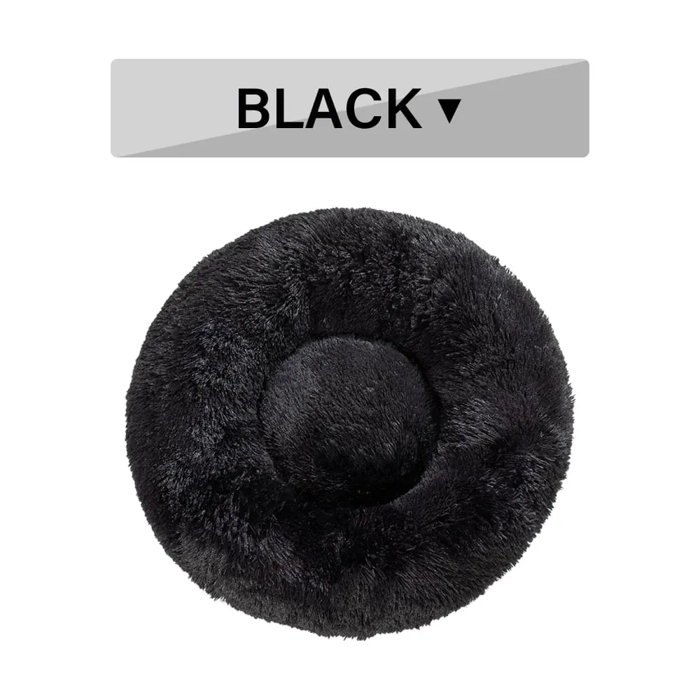 scale