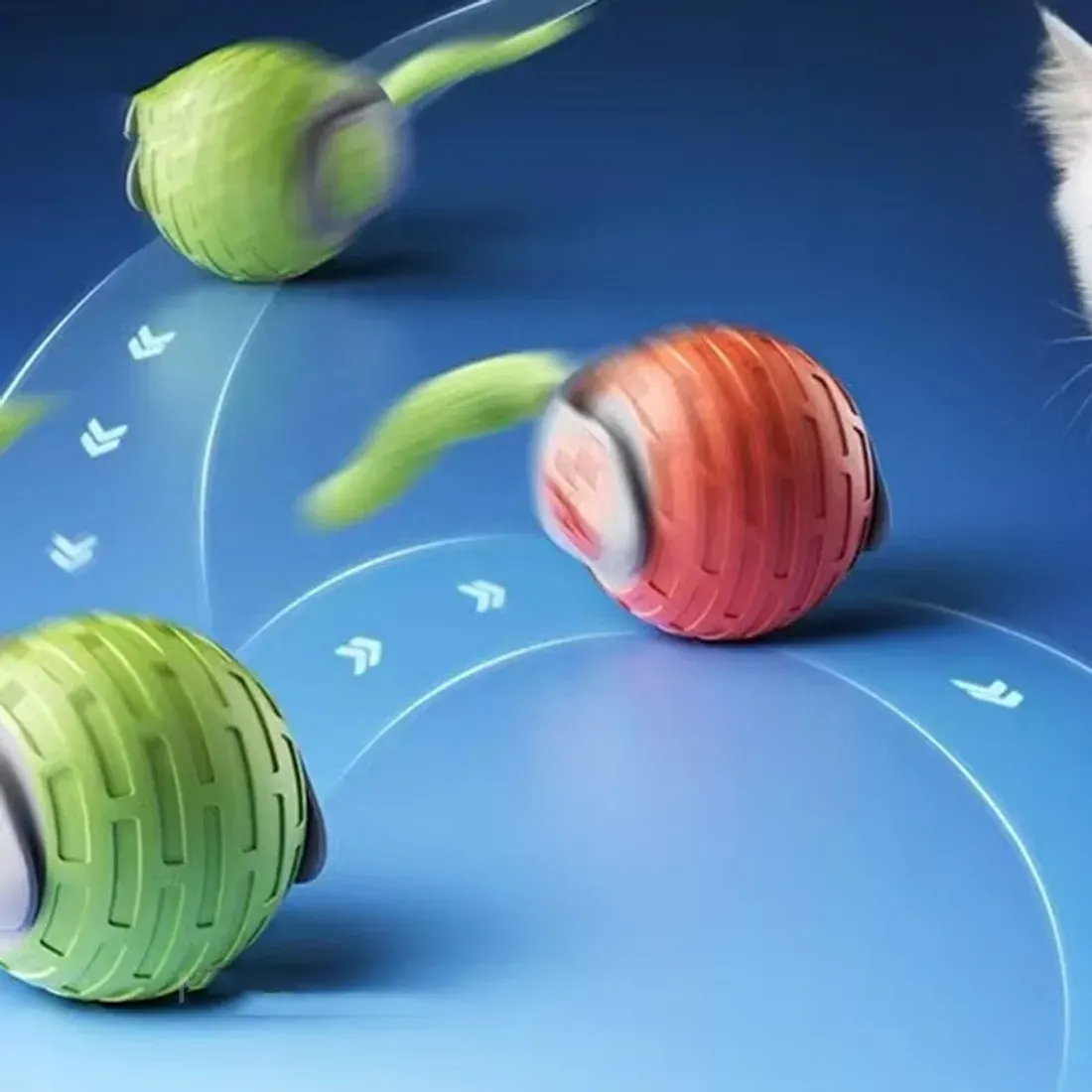rolling ball with a cat