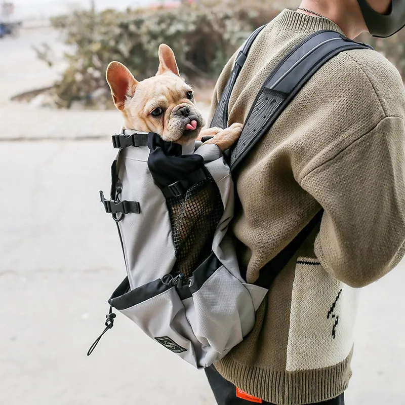 backpack-style carrier worn on the back, dog inside
