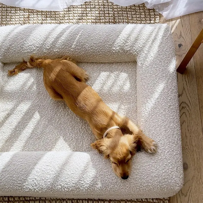 orthopedic bed