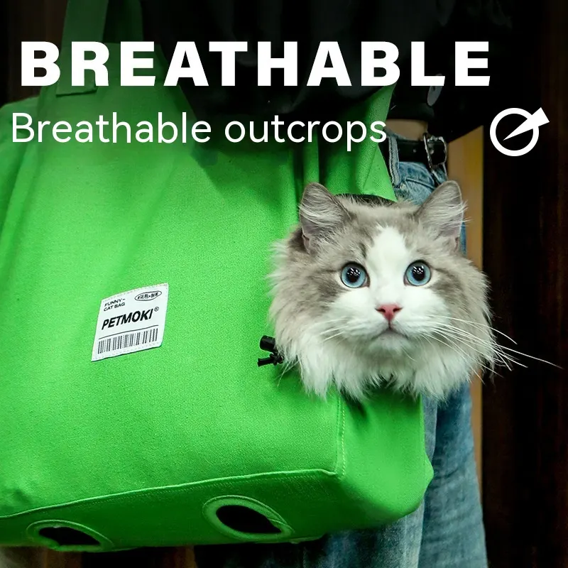 shoulder carrier bag with a cat inside