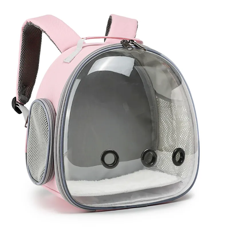 transparent backpack with a guinea pig