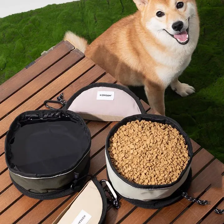 collapsible bowl