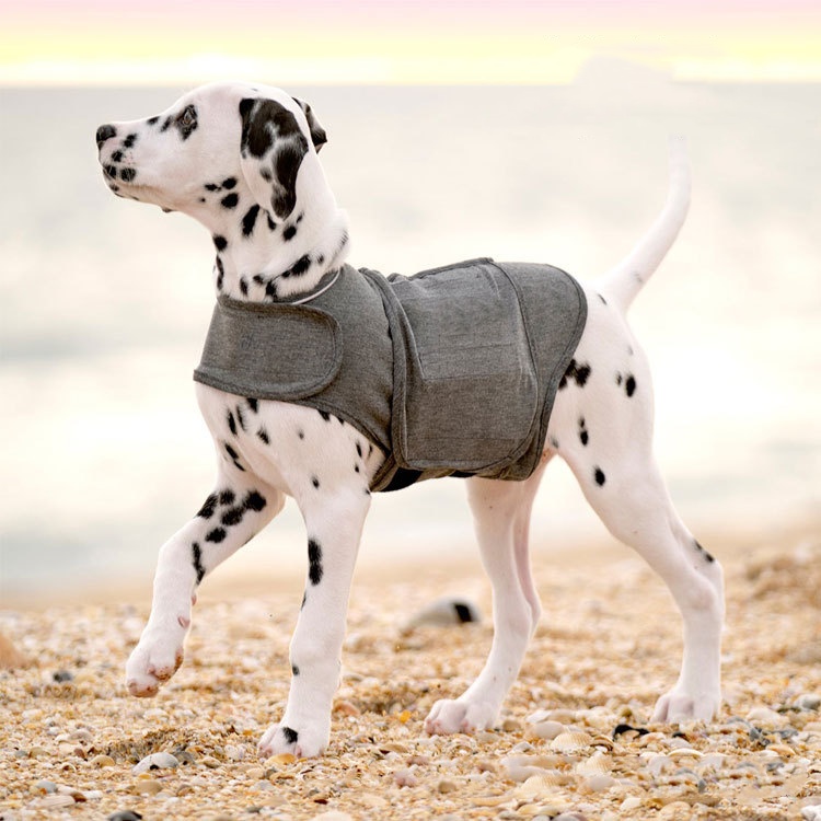 grey compression vest