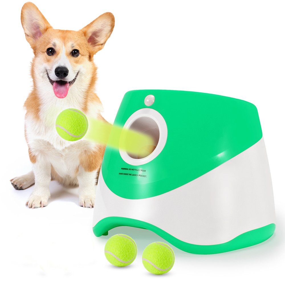 lance-balle automatique pour chien