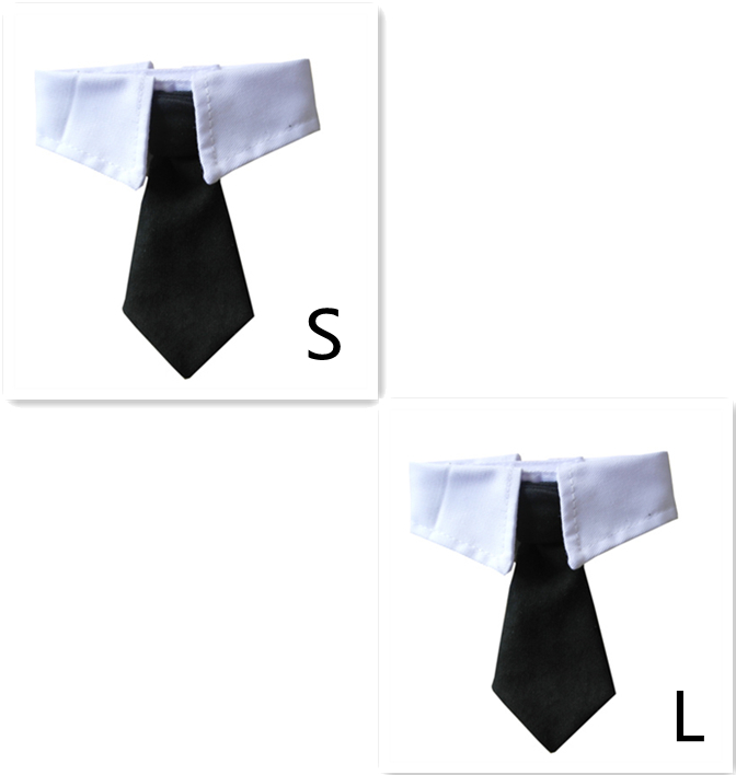 collar with a black bow tie