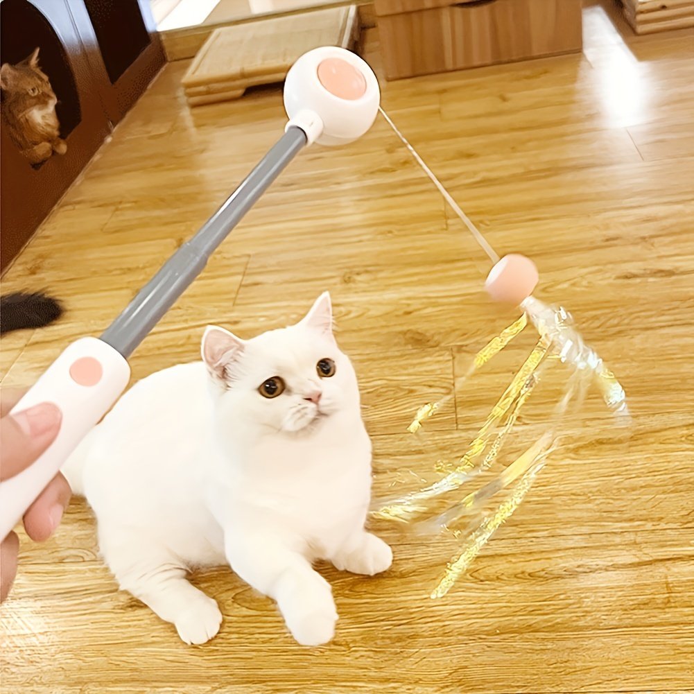 canne à pêche rétractable pour chat