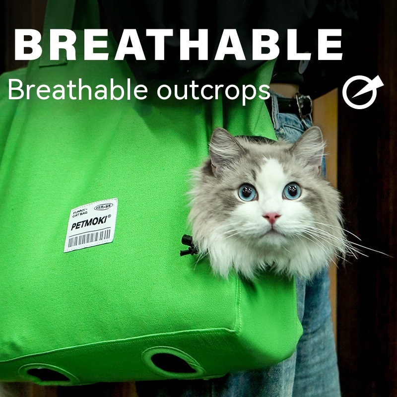 shoulder carrier bag with a cat inside