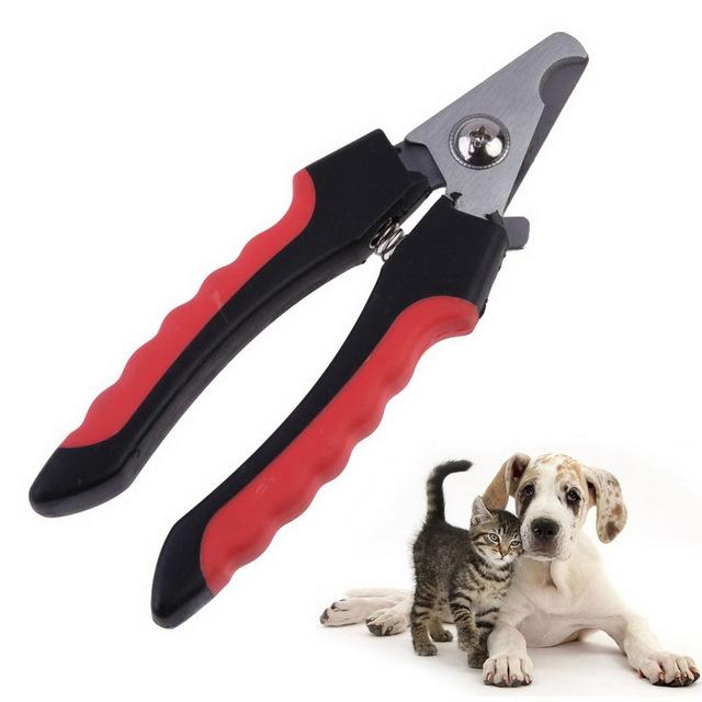 nail clipper next to a size chart
